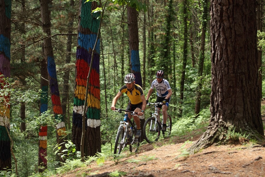 Ciclistas en ruta por el Bosque de Oma